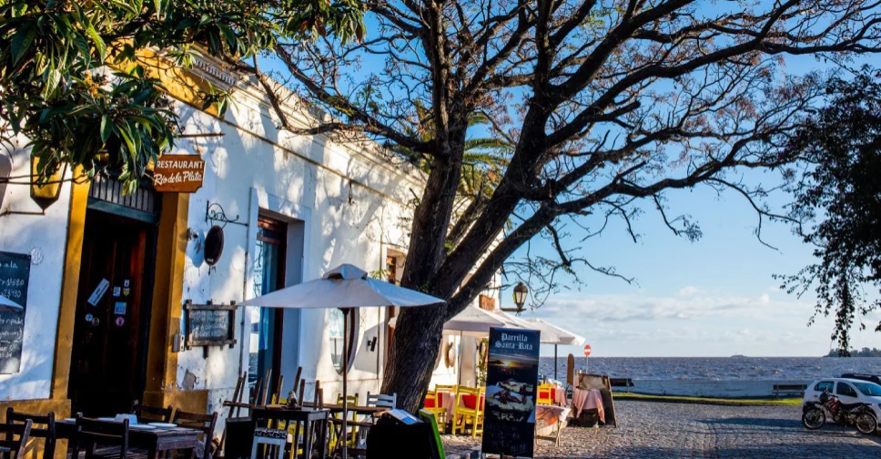 donde comer en colonia donde comer en colonia