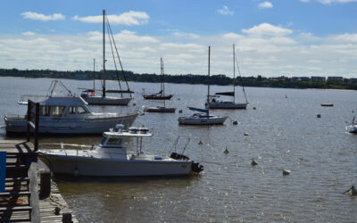 City Tour en Colonia del Sacramento: Todo lo que necesitas saber