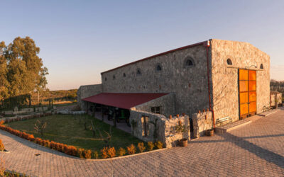 Bodegas turísticas en Colonia: la mejor experiencia enóloga en Uruguay